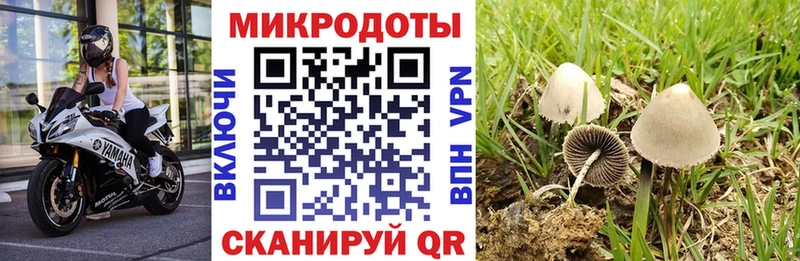 цены   Таганрог  Псилоцибиновые грибы Magic Shrooms 